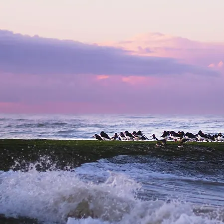 아파트 Flat White - Luxe App Aan Zee Met Terras & Parking 데한