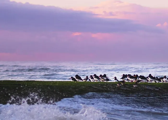 Appartement Flat White - Luxe App Aan Zee Met Terras&parking De Haan